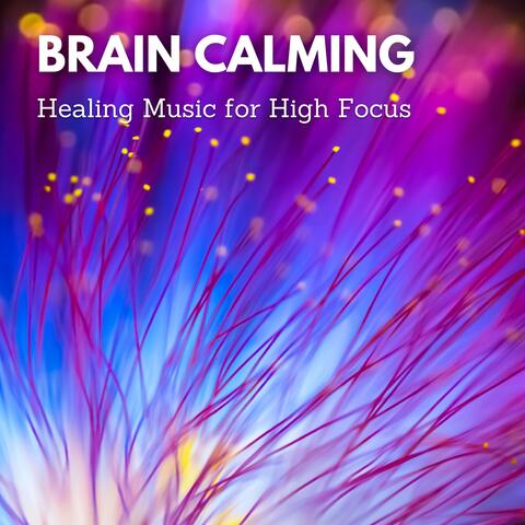 Brain Calming Healing Music for High Focus