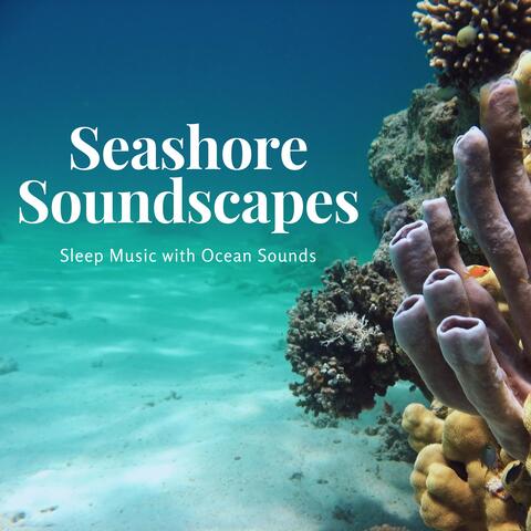 Seashore Soundscapes - Sleep Music with Ocean Sounds