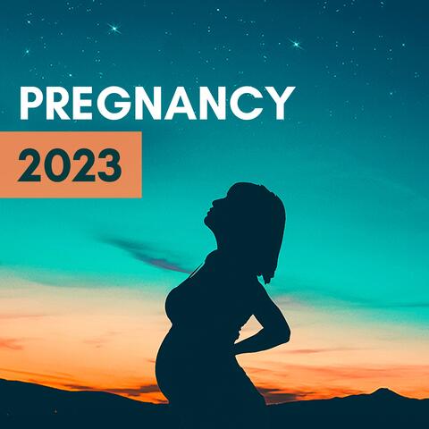 Pregnancy 2023 - Best Relaxing Instrumental Music for Giving Birth