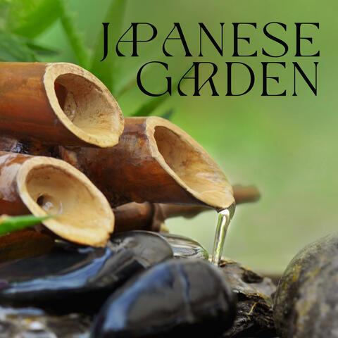 Japanese Garden: Soothing Bamboo Water Fountain