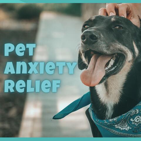 Pet Anxiety Relief - Music Therapy for Animals