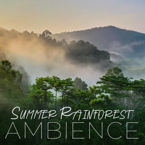 Summer Rainforest Ambience: Relaxation, Mindfulness, Breathing Practice with Exotic Nature