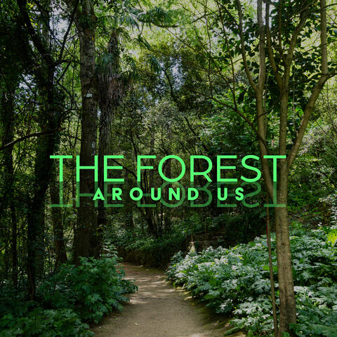 The Forest Around Us: Beautiful Mother Nature with Instrumental Ambiance