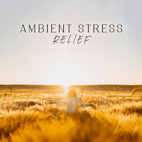 Ambient Stress Relief: Tranquil Music for Rest and Quiet Moments