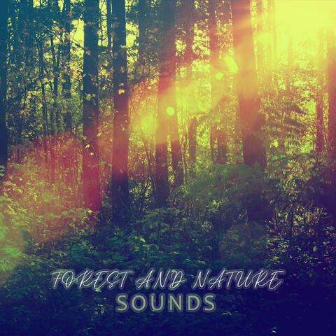 Forest and Nature Sounds