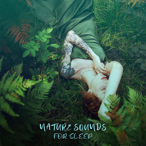 Nature Sounds For Sleep