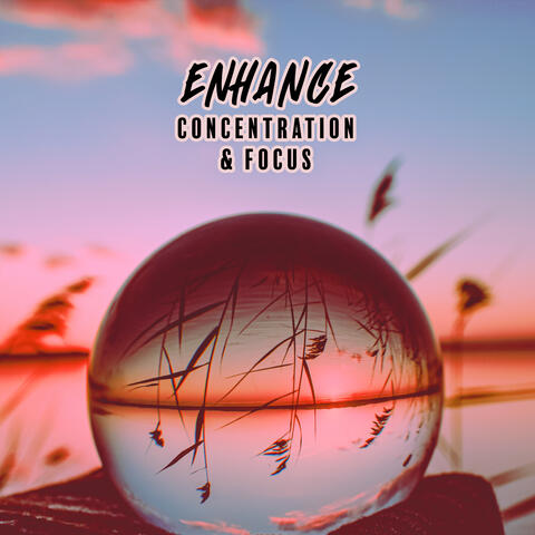 Enhance Concentration & Focus