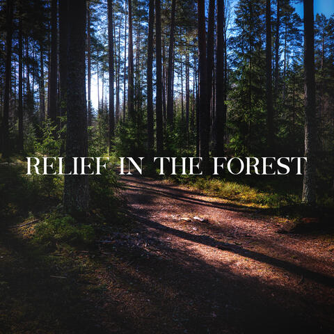 Relief in the Forest: Be One With Nature
