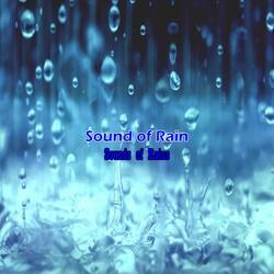 Sound of Rain 8