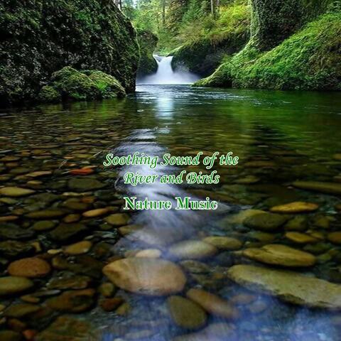 Soothing Sound of the River and Birds