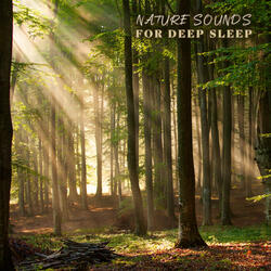 I Have Done All I Could Do for Today