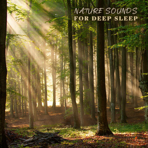 Nature Sounds for Deep Sleep: Bedtime Affirmations