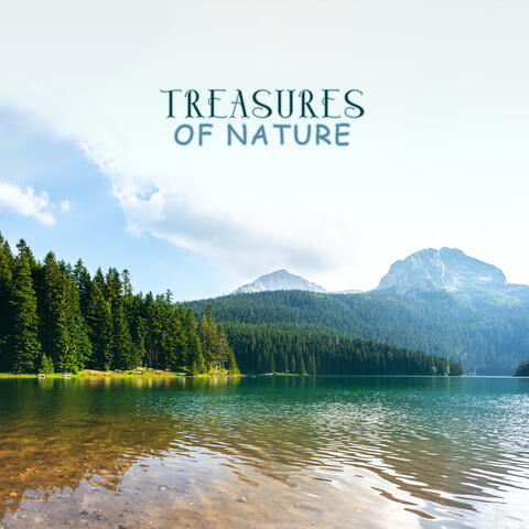 Treasures of Nature: Amazing Sounds for Sleep