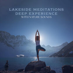 Waves of Mindfulness