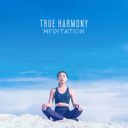 Sacred Meditation Sounds