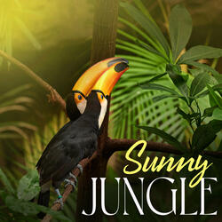 Wake Up in the Jungle