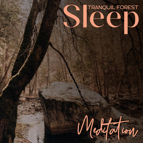 Tranquil Forest: Sleep Meditation