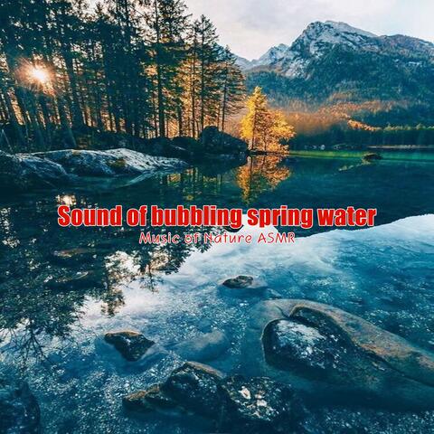 Sound of Bubbling Spring