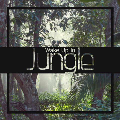 Wake Up In Jungle: Exotic Sounds for Relaxation