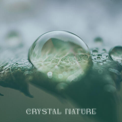 Crystal Nature: Relaxing Ocean Waves, Bird Songs, Forest Soundscapes, Flowing River (Without Instruments)