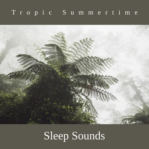 Tropic Summertime Sleep Sounds