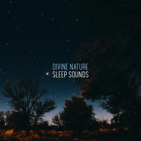 Divine Nature Sleep Sounds