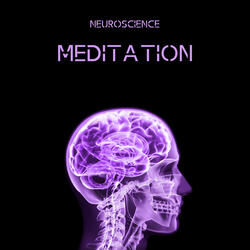 Cognitive Flexibility