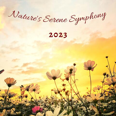 Nature's Serene Symphony 2023 - Relaxing Sounds for Meditation
