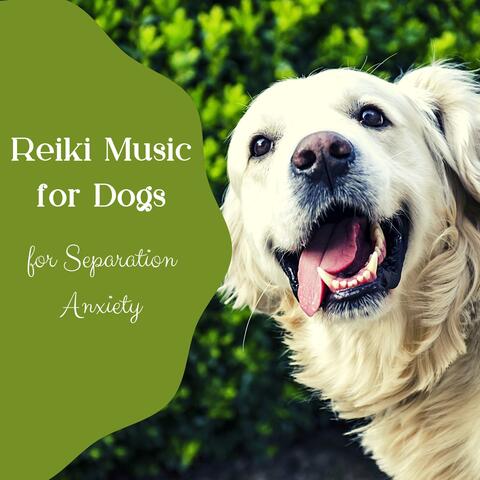 Reiki Music for Dogs for Separation Anxiety