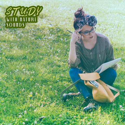 Study with Nature Sounds: Deep Focus, Gentle Nature Background, Calm Study Music