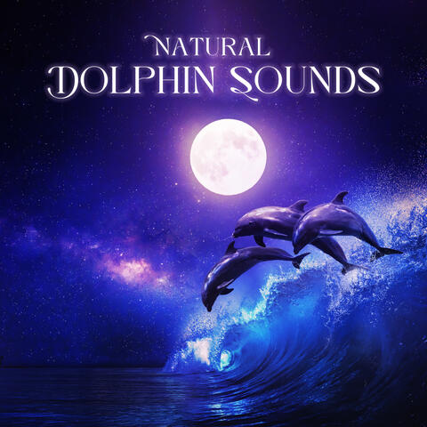 Natural Dolphin Sounds: Hydro Therapy Relaxation