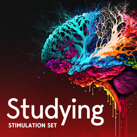 Studying Stimulation Set: Alpha Waves for Focus