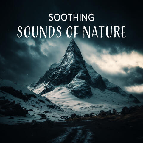 Soothing Sounds of Nature: Ambient Rain Soundscapes