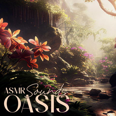 ASMR Sounds Oasis
