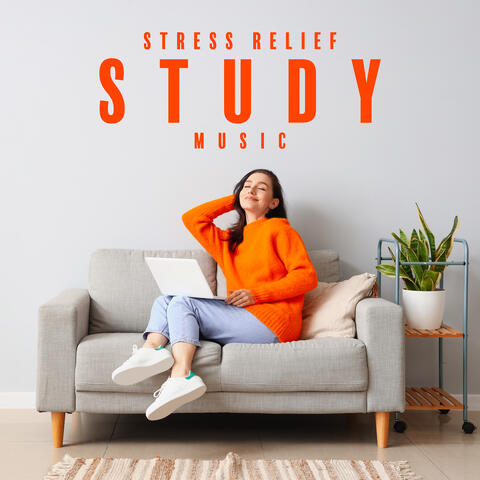 Stress Relief Study Music: Relaxing Study, Calm Your Mind with Rain Sounds, Study with Nature Sounds