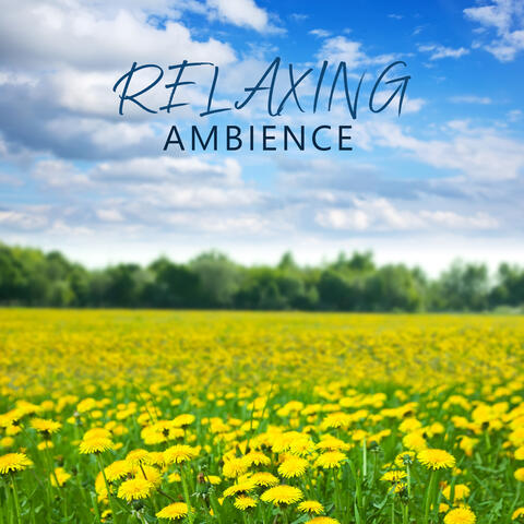 Relaxing Ambience: Get Ready for Spring