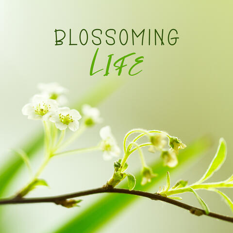 Blossoming Life: Easter Awaits Us