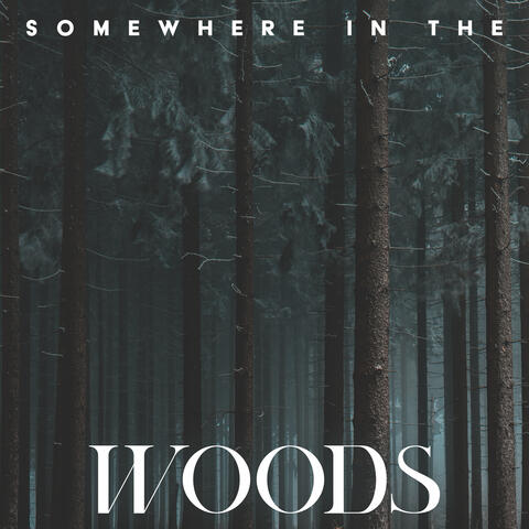 Somewhere in the Woods: Relaxing Mix of Birds, Brook, Rain Sounds