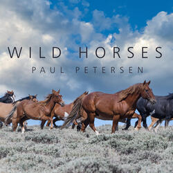 Wild Horses