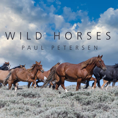 Wild Horses