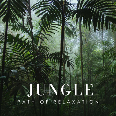 Jungle Path of Relaxation