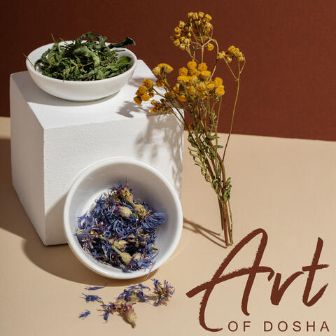 Art of Dosha: Connect with Ayruvedic Vata, Pitta, and Kapha