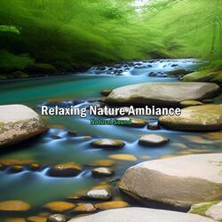 Relaxing Nature Ambiance