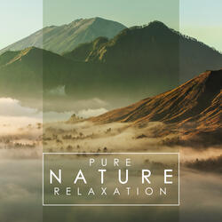 Wonderful Morning Mindfulness