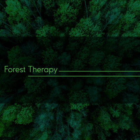 Forest Therapy: Sounds of the Forest for Calming Down, Mind Relaxation, Stress Relief