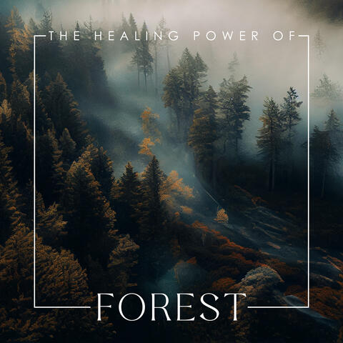 The Healing Power of Forest: Woodland Ambience (Restoration of Body Natural Balanced State)