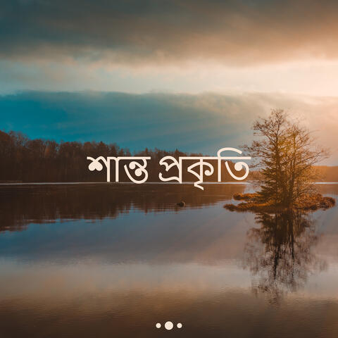 শান্ত প্রকৃতি: বন, নদী, পাখি, মহাসাগর, বৃষ্টি