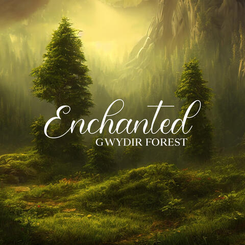 Enchanted Gwydir Forest: Magiacally and Softly