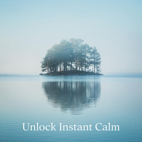 Unlock Instant Calm: Relief from Stress and Anxiety, Detox Negative Emotions