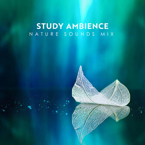 Study Ambience: Nature Sounds Mix